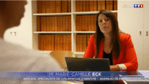 interview de Me ECK avocat spécialiste usurpation identité pour le journal TV du 20h de Tf1 du 15/09/2023